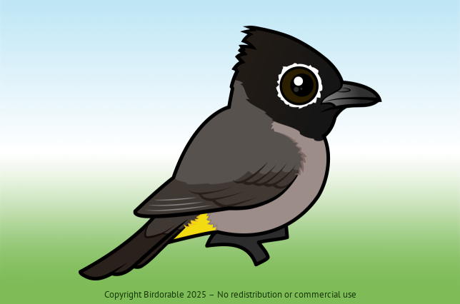 Birdorable White-spectacled Bulbul 
