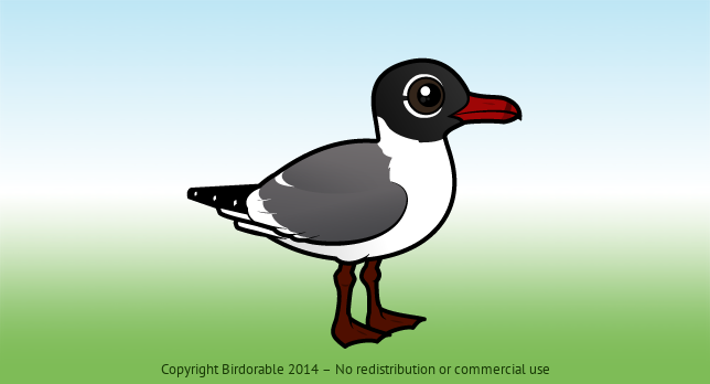 Birdorable Laughing Gull 