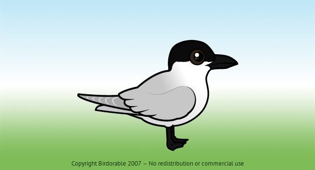 Birdorable Gull-billed Tern 