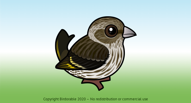 Birdorable Pine Siskin 
