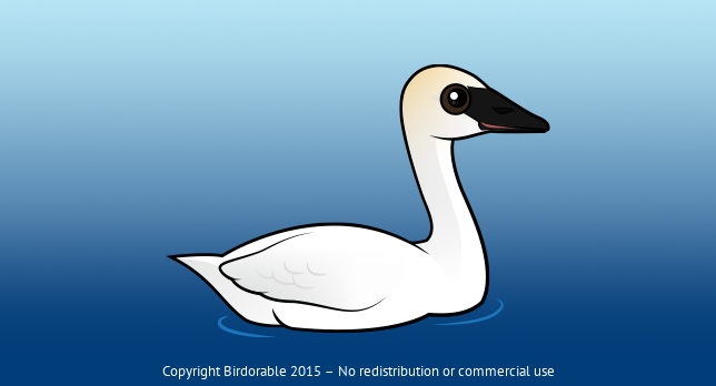 Birdorable Trumpeter Swan 