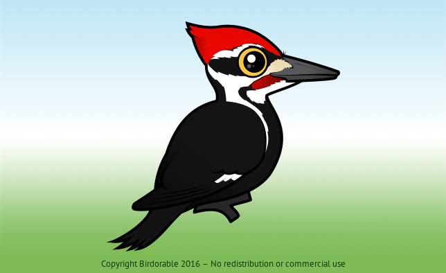 Cute Pileated Woodpecker by Birdorable