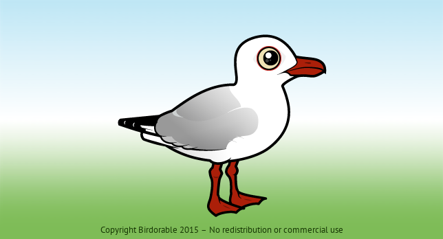 Birdorable Silver Gull 