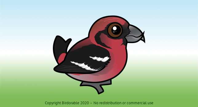 Birdorable White-winged Crossbill 
