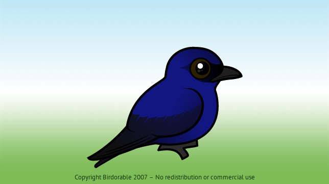 Birdorable Purple Martin 