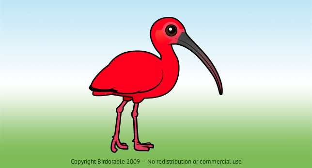 Birdorable Scarlet Ibis 