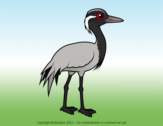 Birdorable Demoiselle Crane 