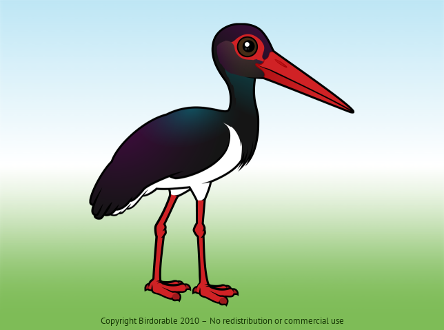 Birdorable Black Stork 