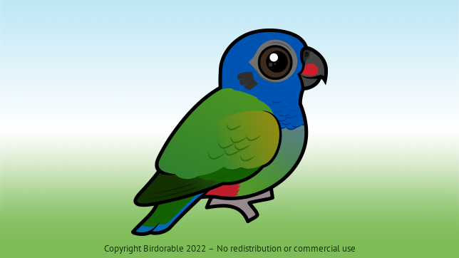 Birdorable Blue-headed Parrot 