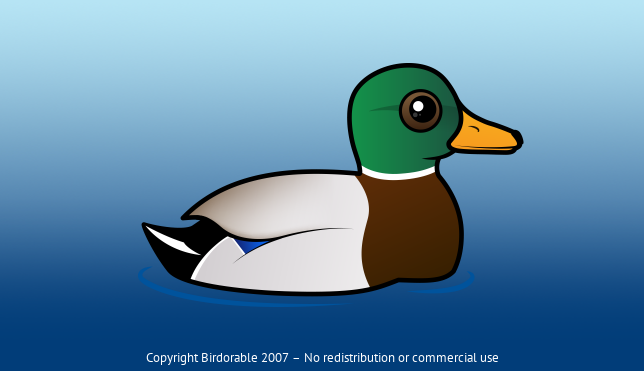Birdorable Mallard Male