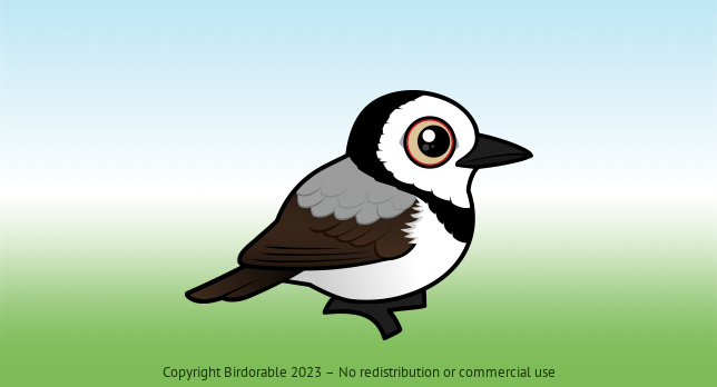 Birdorable White-fronted Chat 