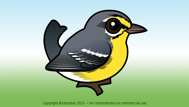 Birdorable Adelaide's Warbler 