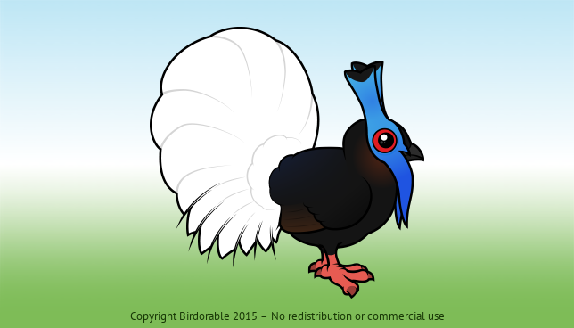 Birdorable Bulwer's Pheasant 