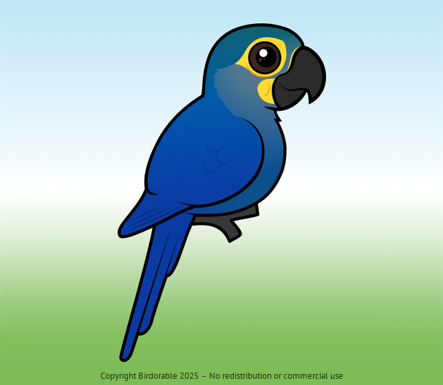 Birdorable Indigo Macaw 