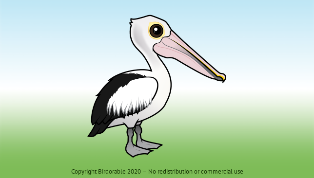 Birdorable Australian Pelican 