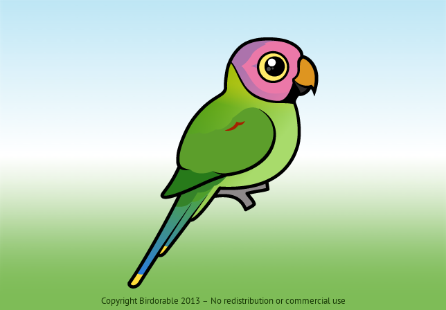 Birdorable Blossom-headed Parakeet 