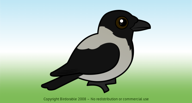 Birdorable Hooded Crow 