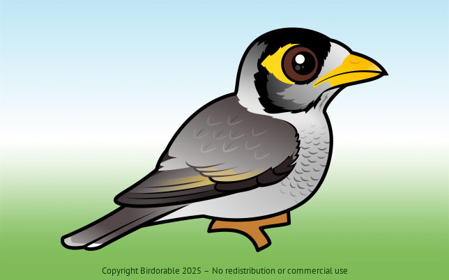 Birdorable Noisy Miner 