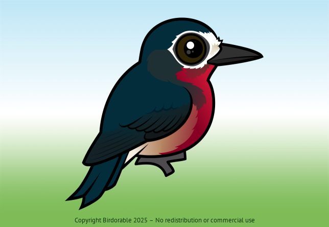 Birdorable Puerto Rican Woodpecker 