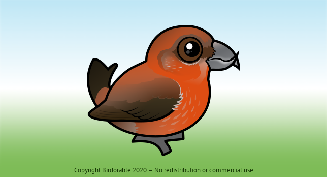 Birdorable Red Crossbill 