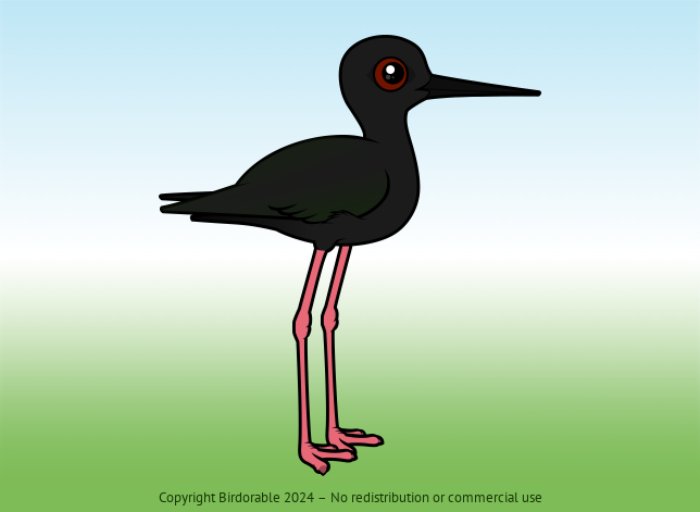 Birdorable Black Stilt 