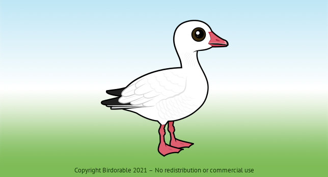 Birdorable Snow Goose 