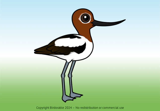 Birdorable Red-necked Avocet 