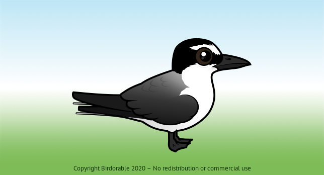 Birdorable Bridled Tern 