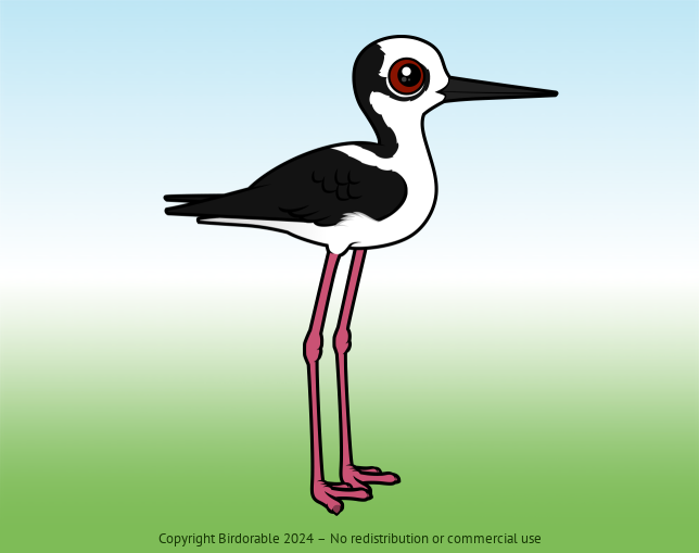 Birdorable White-backed Stilt 