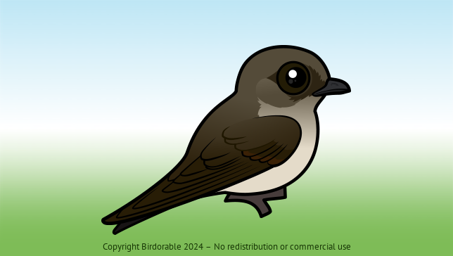 Birdorable Northern Rough-winged Swallow 