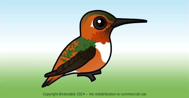 Birdorable Allen's Hummingbird 