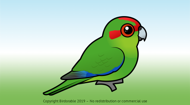 Birdorable Red-crowned Parakeet 