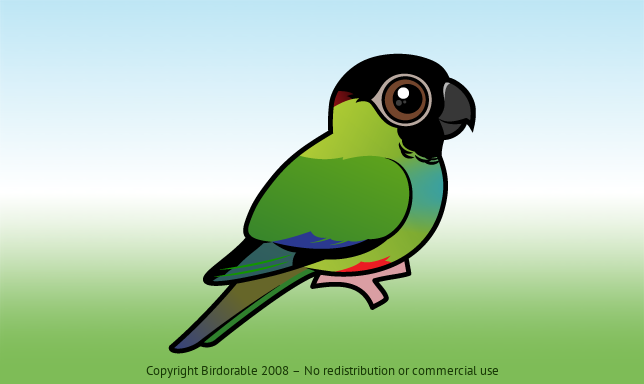 Birdorable Nanday Parakeet 