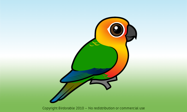 Birdorable Jandaya Conure 