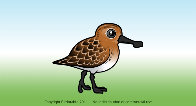 Birdorable Spoon-billed Sandpiper 