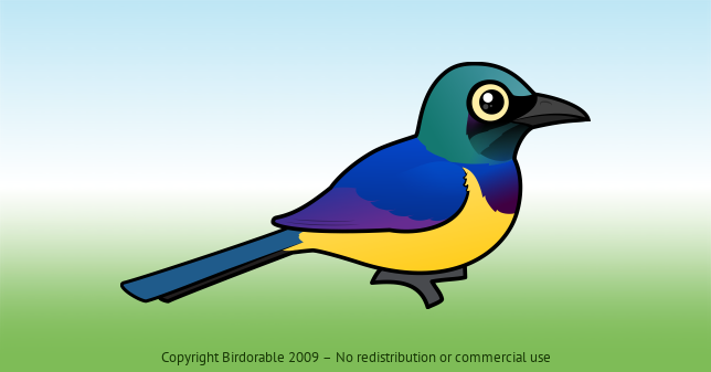 Birdorable Golden-breasted Starling 
