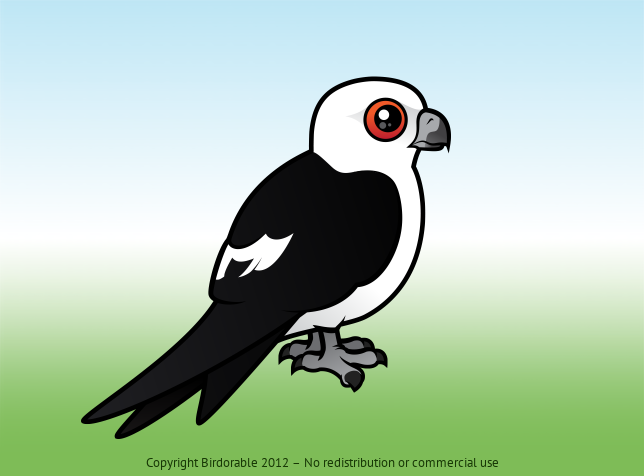 Birdorable Swallow-tailed Kite Perched