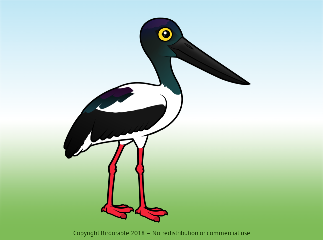 Birdorable Black-necked Stork 