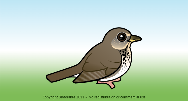 Birdorable Gray-cheeked Thrush 
