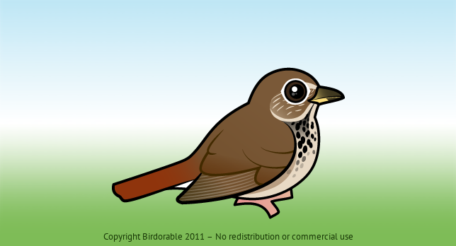 Birdorable Hermit Thrush 