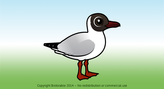 Birdorable Black-headed Gull 
