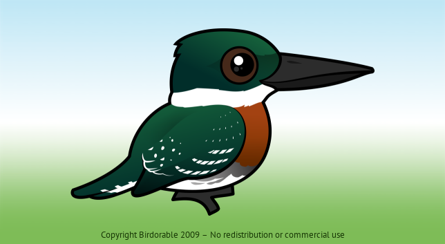 Birdorable Green Kingfisher 