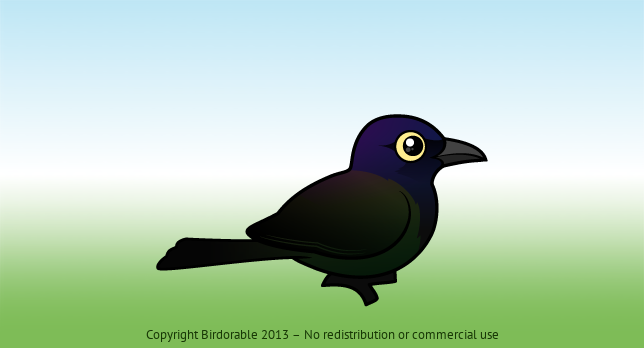 Birdorable Common Grackle 
