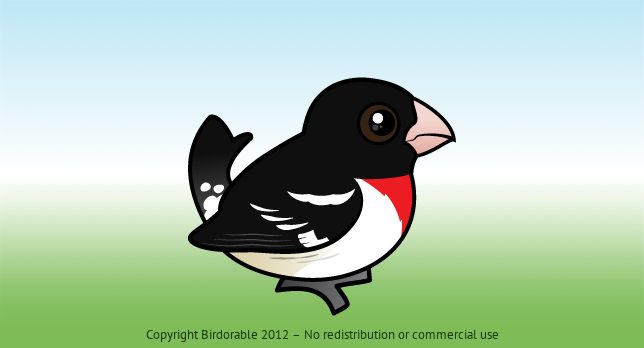 Birdorable Rose-breasted Grosbeak 