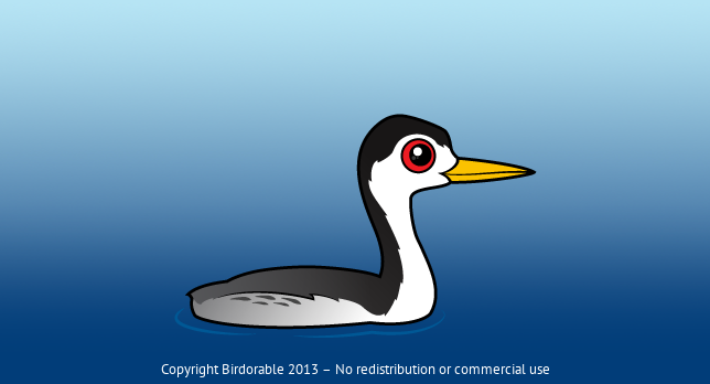 Birdorable Clark's Grebe 