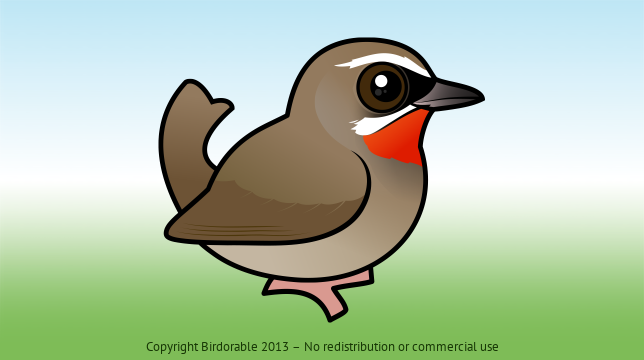 Birdorable Siberian Rubythroat 
