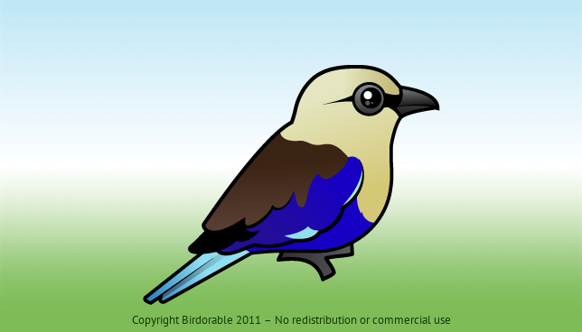 Birdorable Blue-bellied Roller 