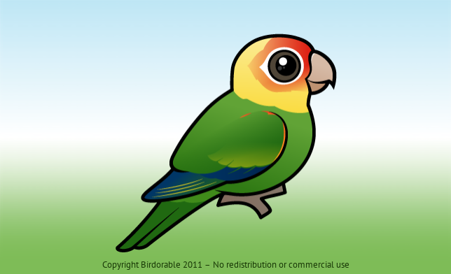 Birdorable Carolina Parakeet 