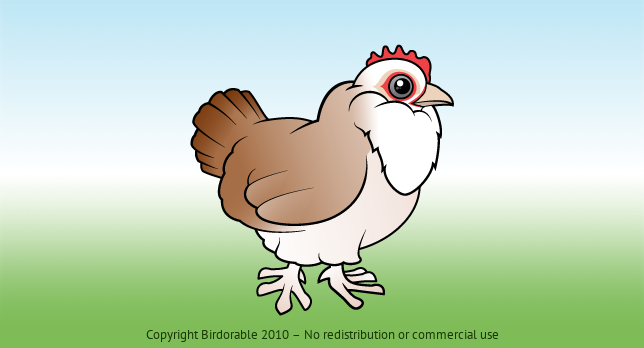 Birdorable Faverolles 