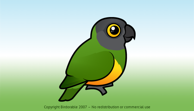 Birdorable Senegal Parrot 